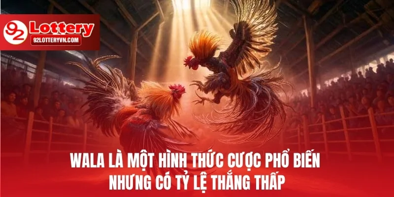 Wala là một hình thức cược phổ biến nhưng có tỷ lệ thắng thấp