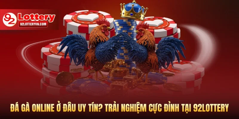 Đá gà online ở đâu